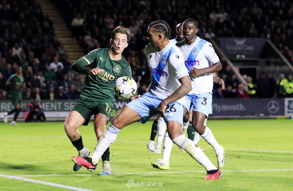 潜力和市场 潜力和市场